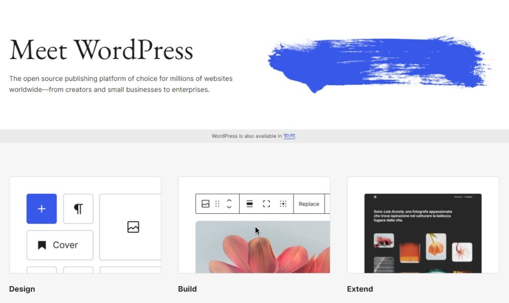 WordPress homepage