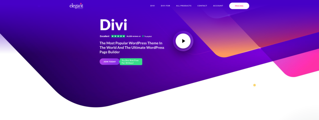 Divi introduction