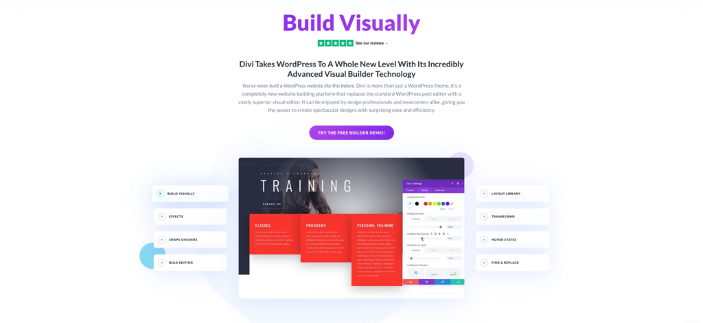 Divi interface